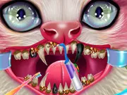 Kitty Dental Caring